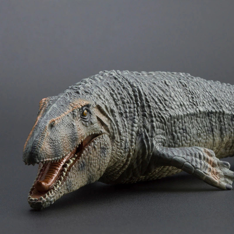 PROG Large Simulated Prognatho - Science Toys บทวิจารณ์และราคา