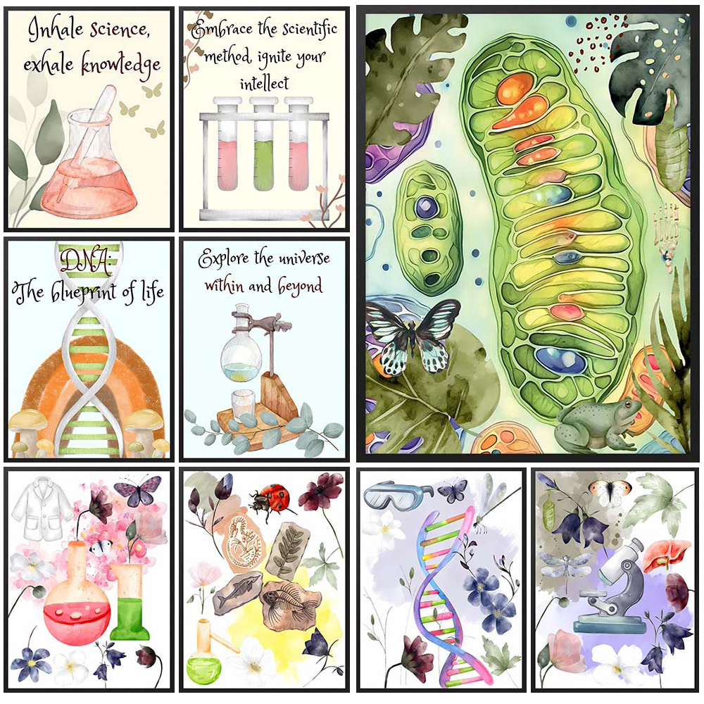 Nursery Cell Biology Science C - Science Nursery บทวิจารณ์และราคา