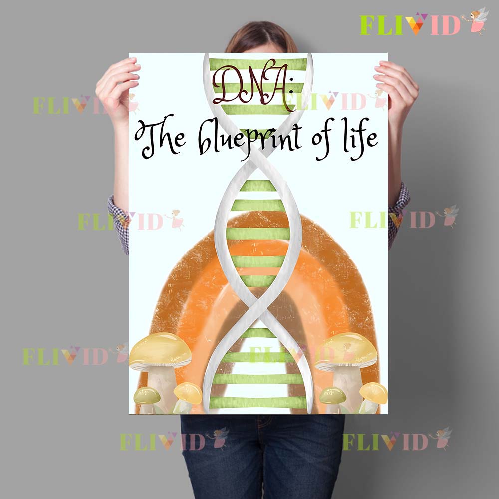 Nursery Cell Biology Science C - Science Nursery บทวิจารณ์และราคา