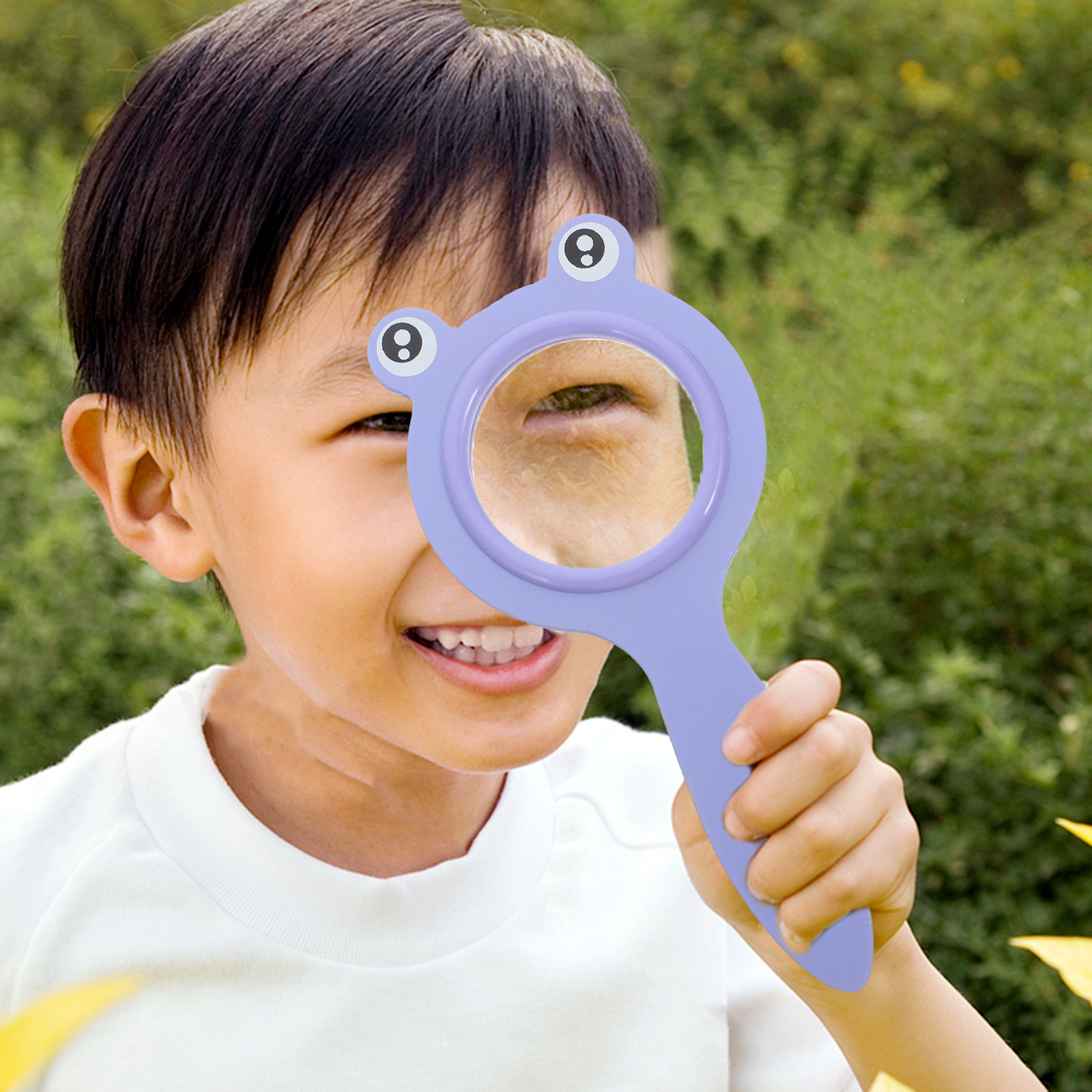 Childrens Insect Observation M - Science Toys บทวิจารณ์และราคา