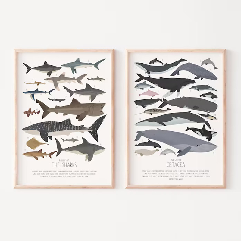 Deep-Sea Fish and Sharks Scien - Science Nursery บทวิจารณ์และราคา