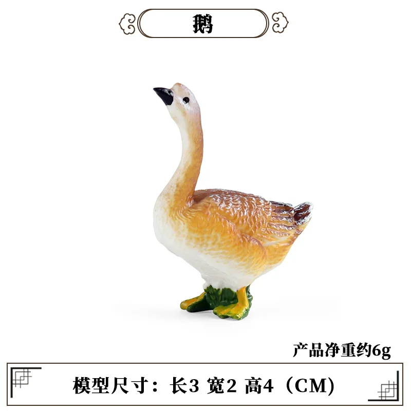 Education Teaching Tool Poultr - Science Toys บทวิจารณ์และราคา