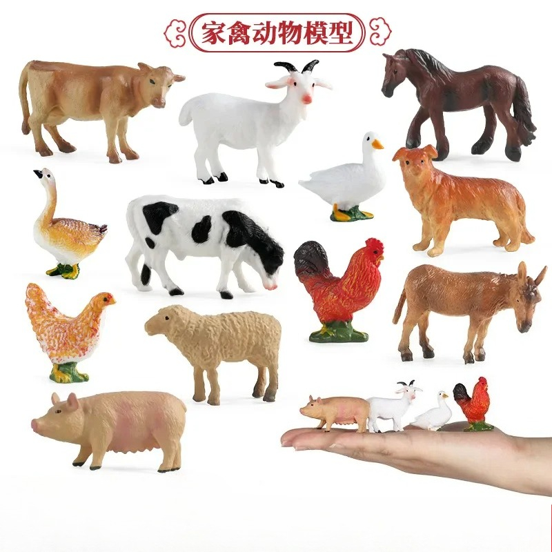 Education Teaching Tool Poultr - Science Toys บทวิจารณ์และราคา