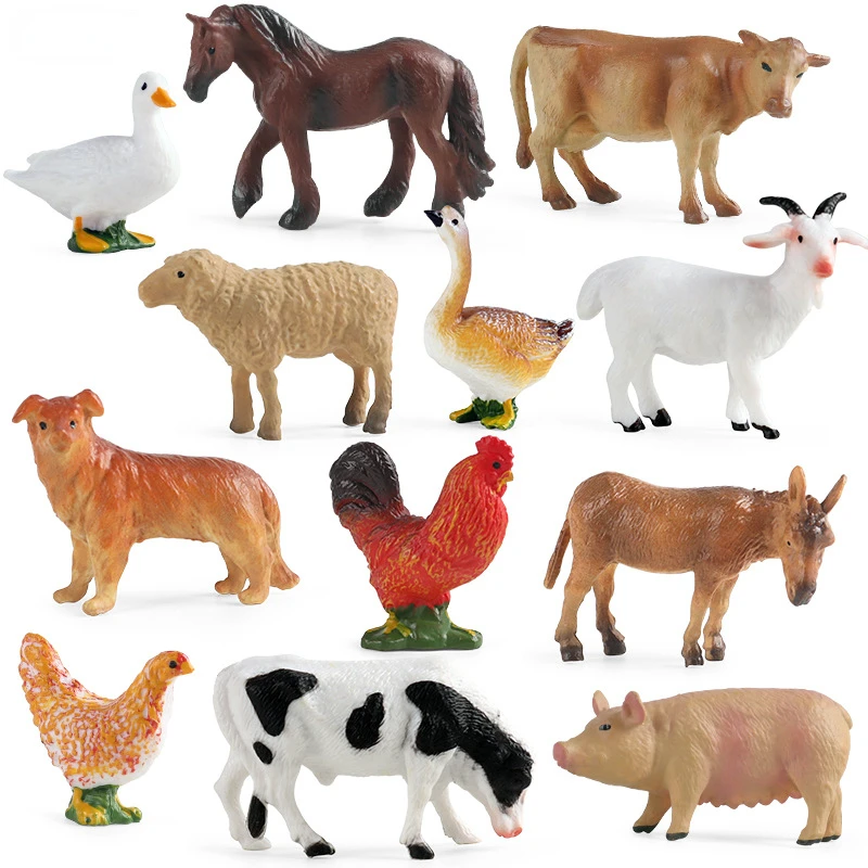 Education Teaching Tool Poultr - Science Toys บทวิจารณ์และราคา