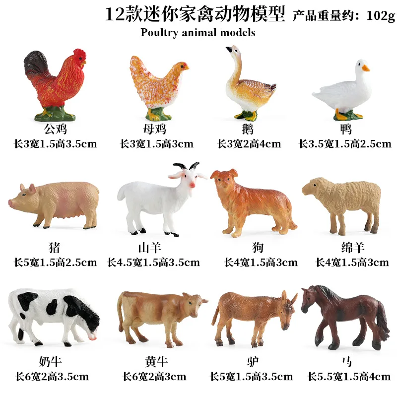 Education Teaching Tool Poultr - Science Toys บทวิจารณ์และราคา
