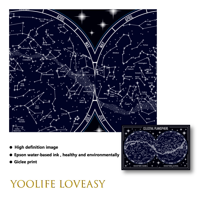 Celestial Planisphere Map Canv - Star Map Poster บทวิจารณ์และราคา